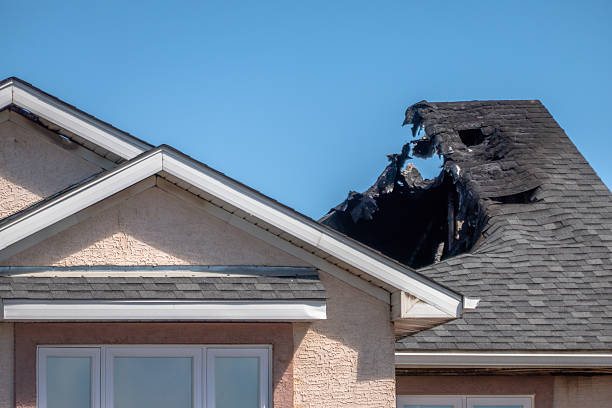 Top rated local Odor Removal specialists in Dunedin, FL